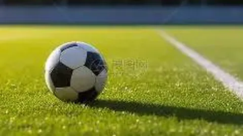 k1体育 产品 100536 k2n