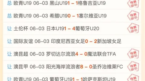 2026独家宋亚，K1体育直播，东晒称重视频，明日集结兄弟大
